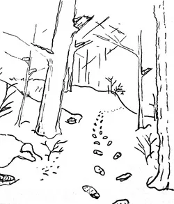Image description