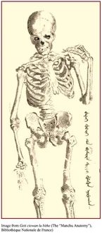 Image description